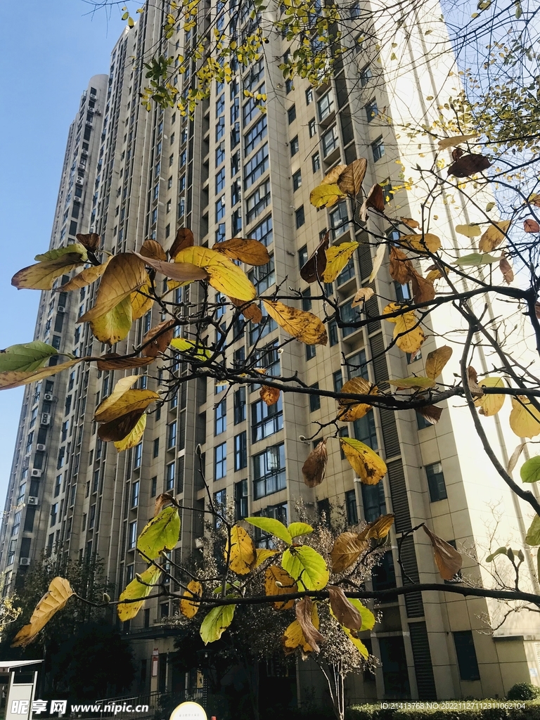 城市小区风景