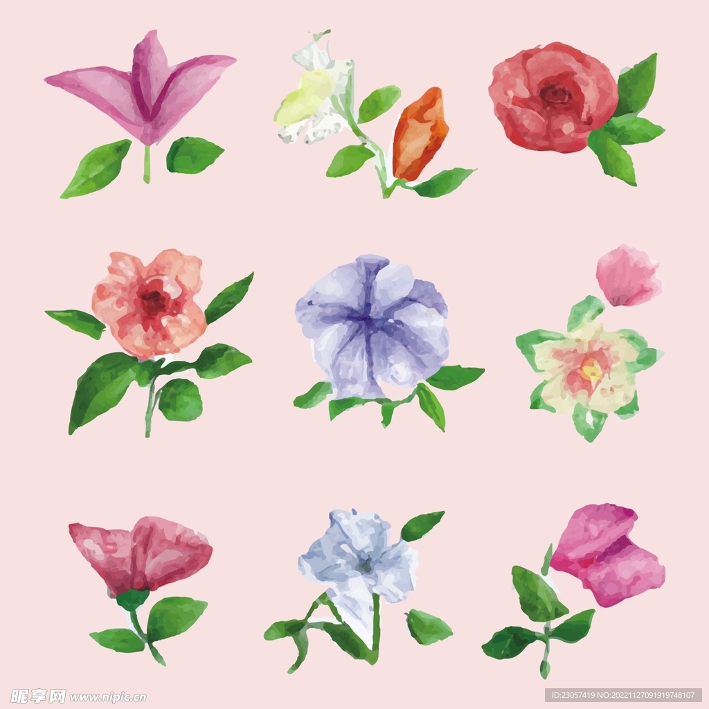 水彩花朵矢量插画