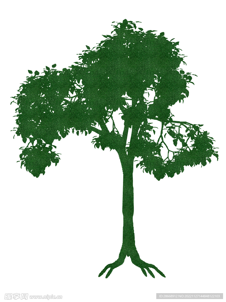 苹果树