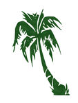 棕榈树