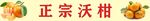 正宗沃柑