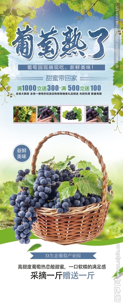 葡萄熟了