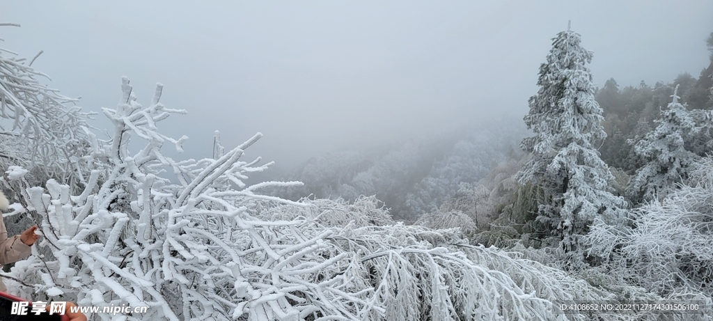 雪景