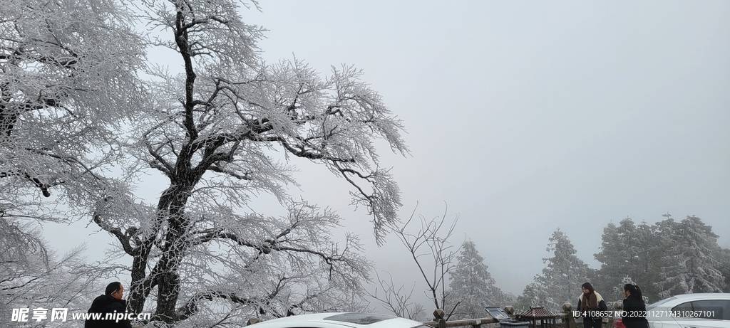 雪景