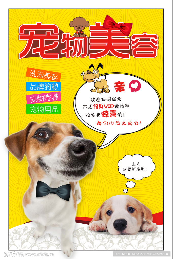 宠物美容