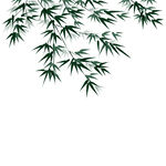  竹子