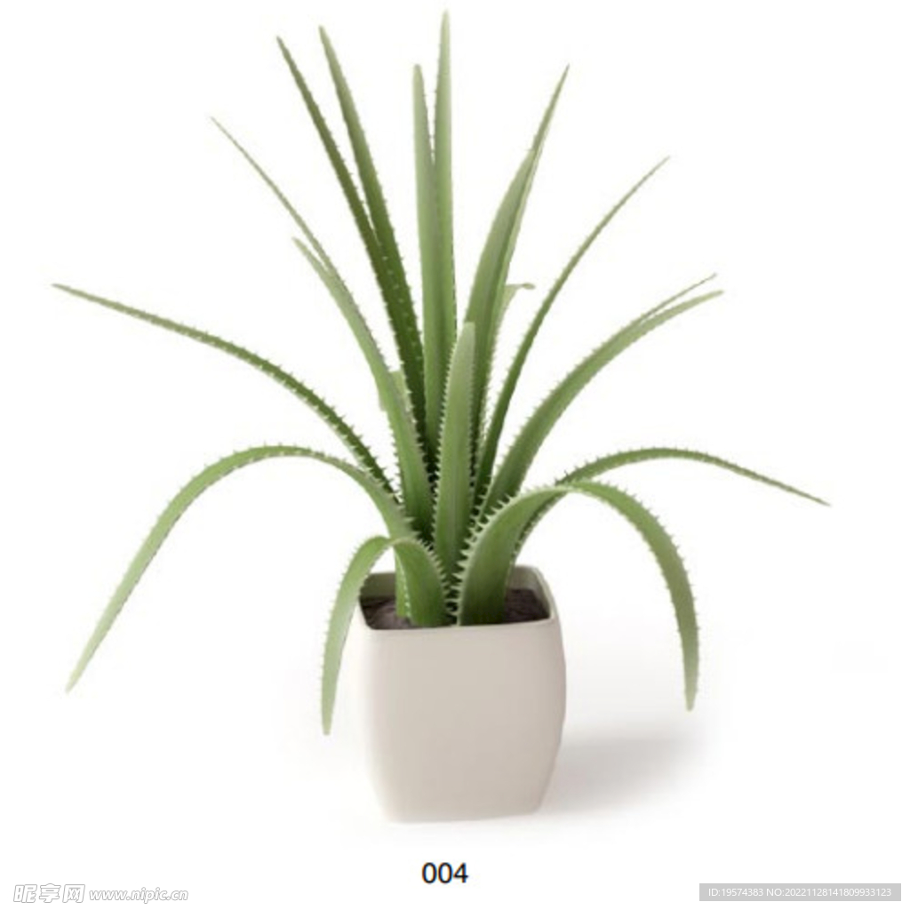 C4D模型  绿色植物 