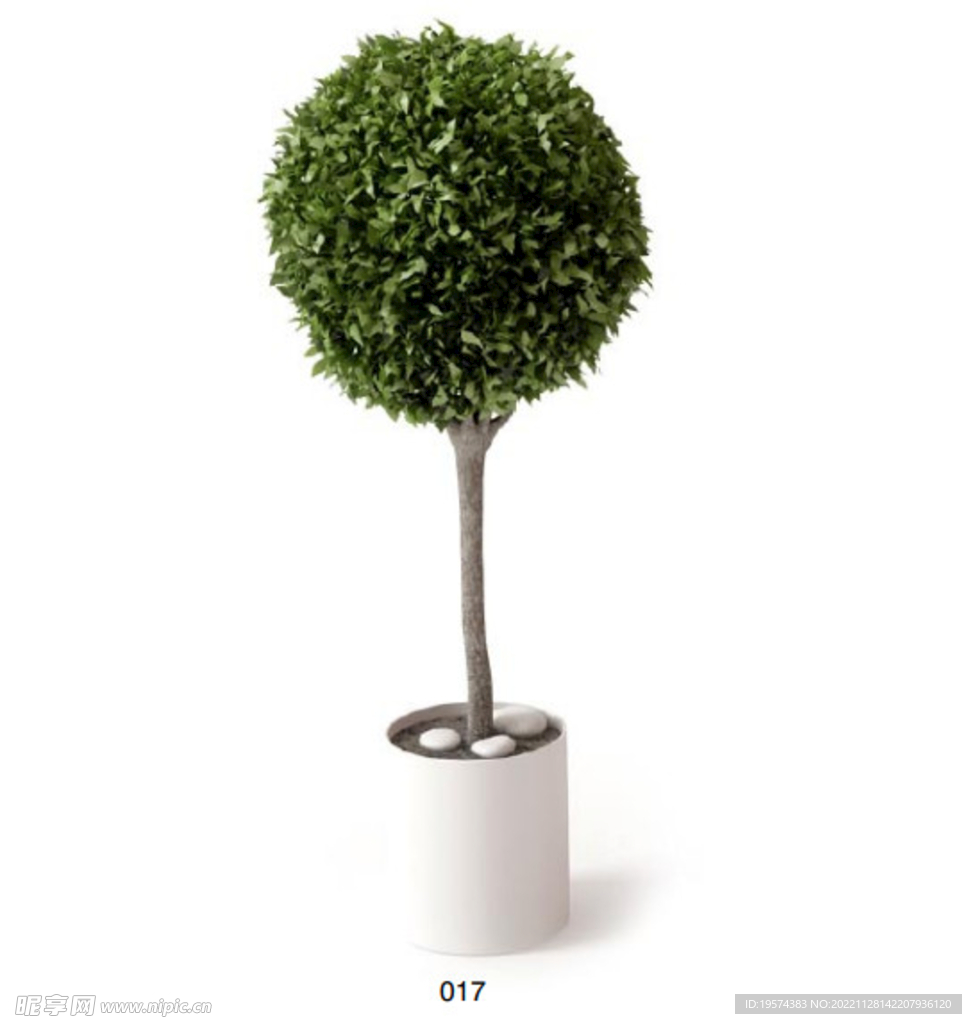 C4D模型 绿色植物 