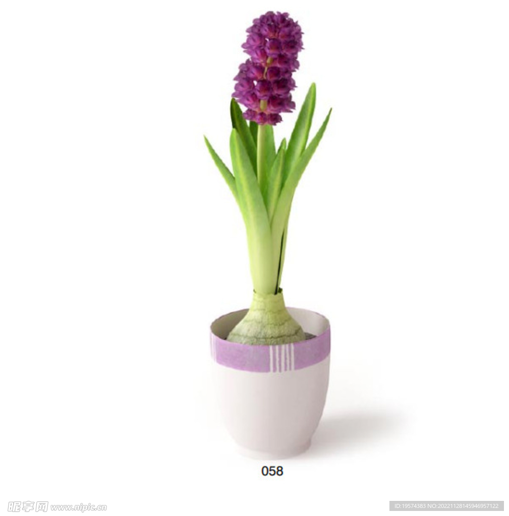 C4D模型 绿色植物 