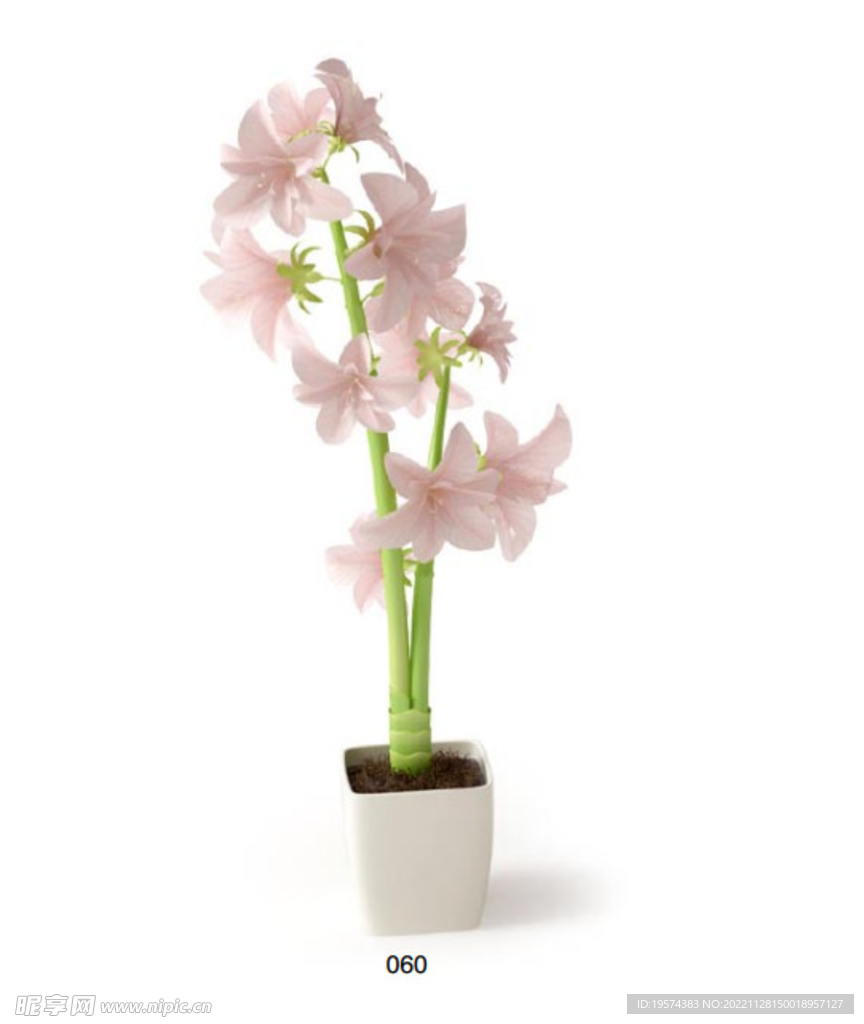 C4D模型 绿色植物 