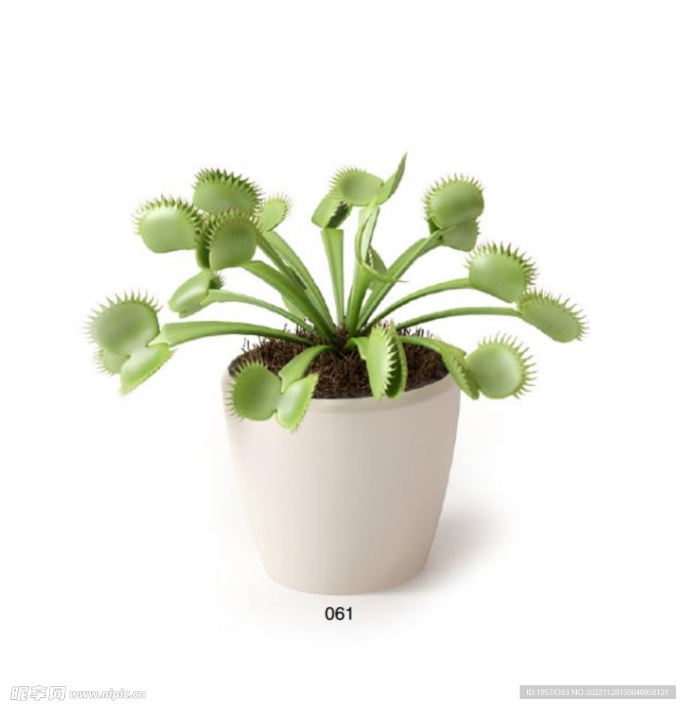 C4D模型 绿色植物 