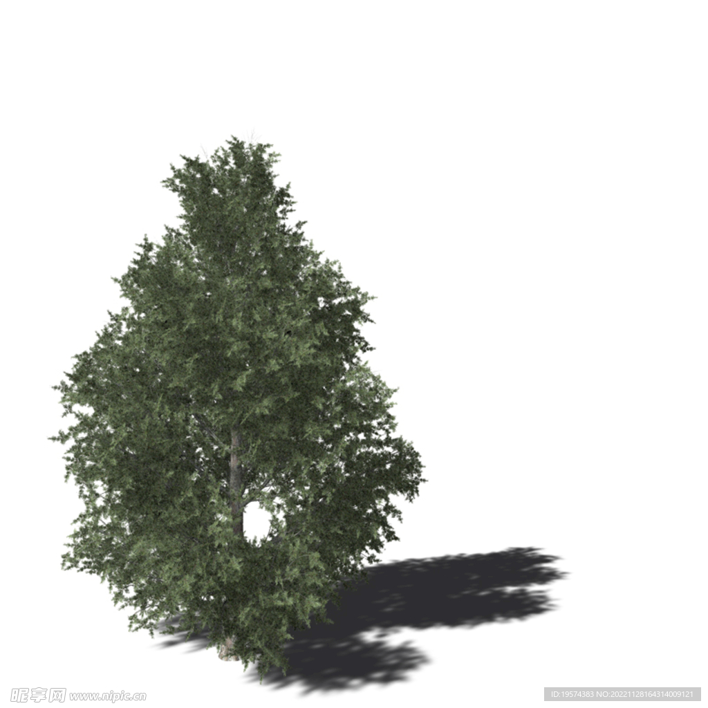 C4D模型 树木 