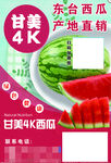 东台西瓜