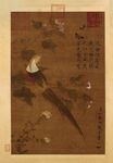 宋 赵佶 芙蓉锦鸡图轴