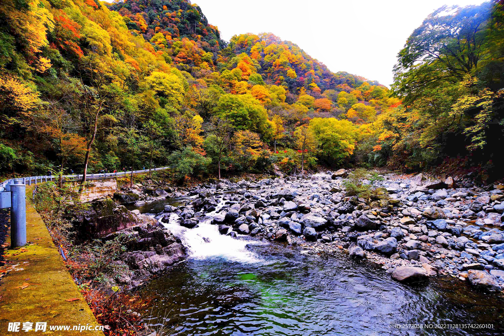 巴中光雾山风光