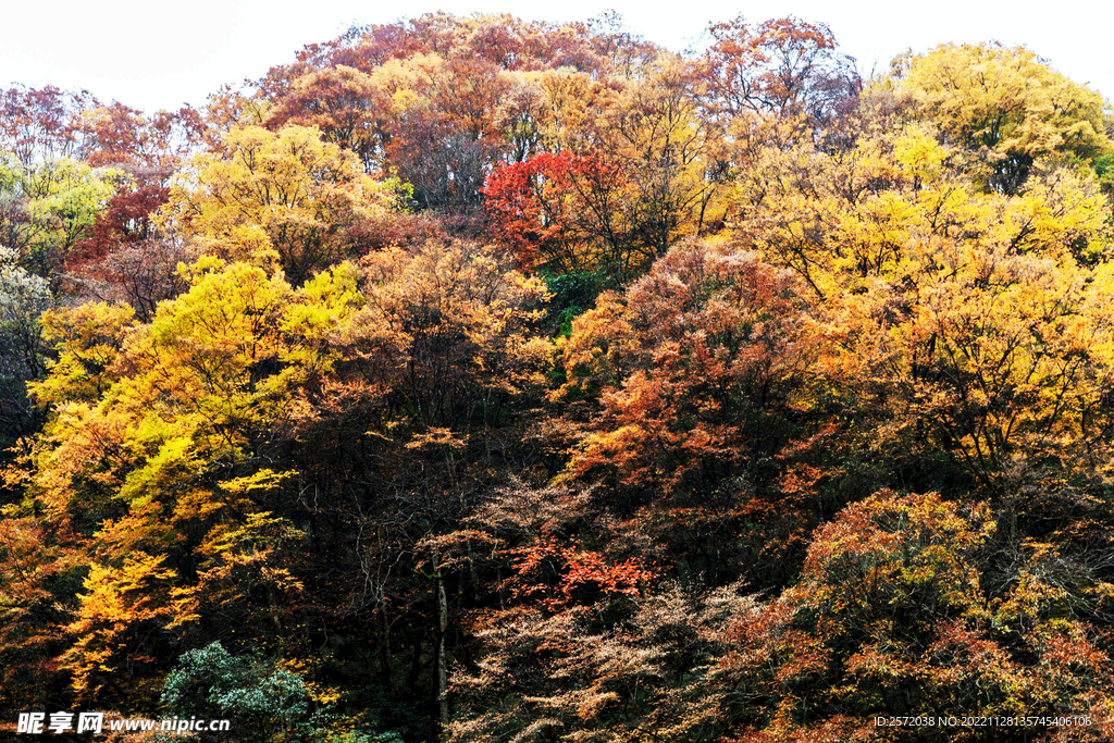 巴中光雾山风光