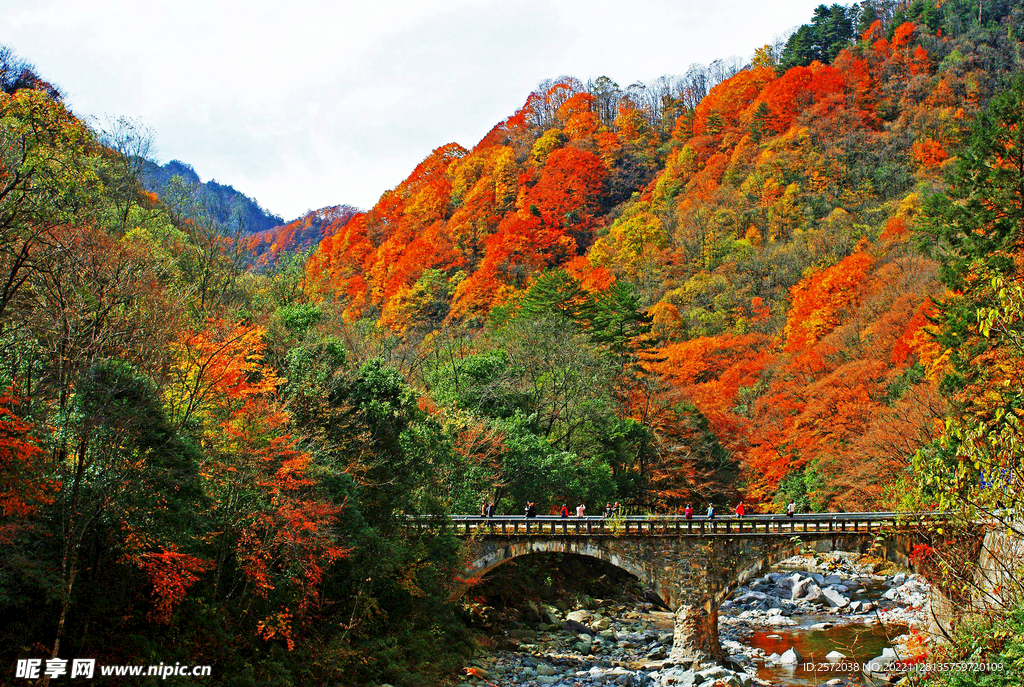 巴中光雾山风光