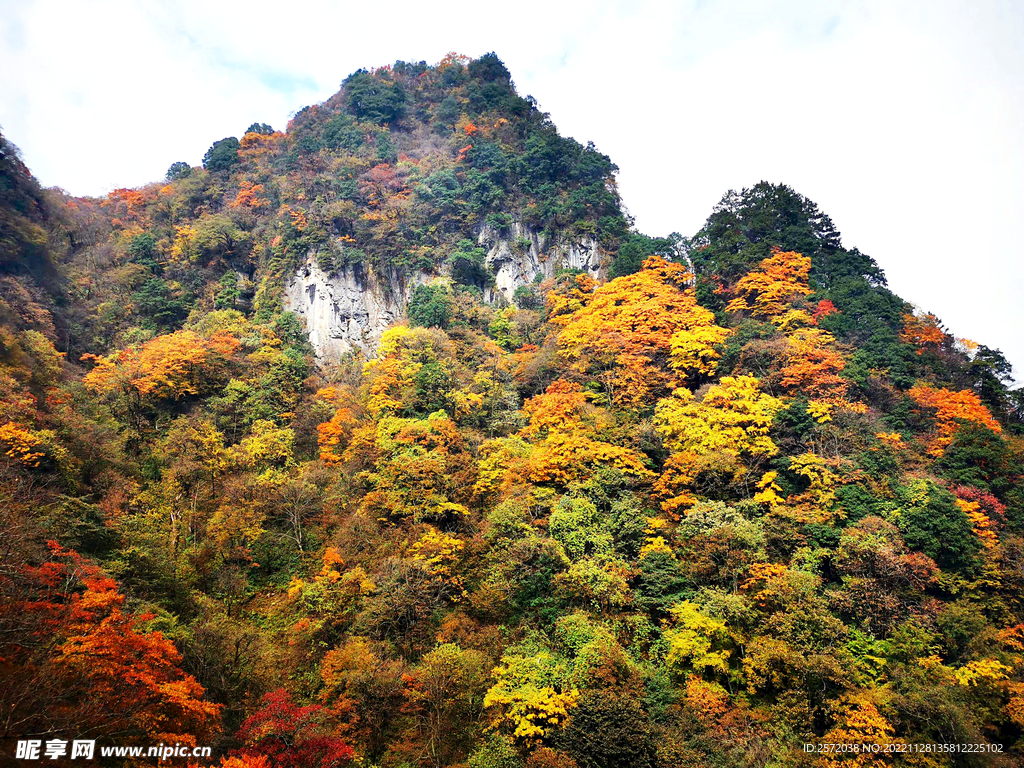 巴中光雾山风光