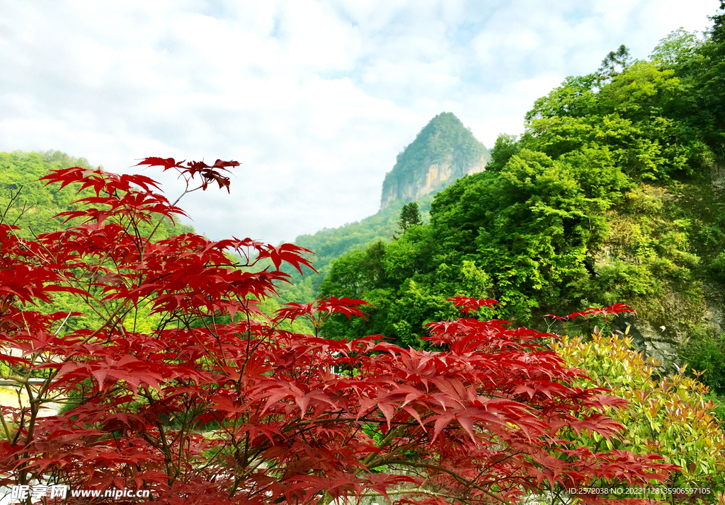 巴中光雾山风光