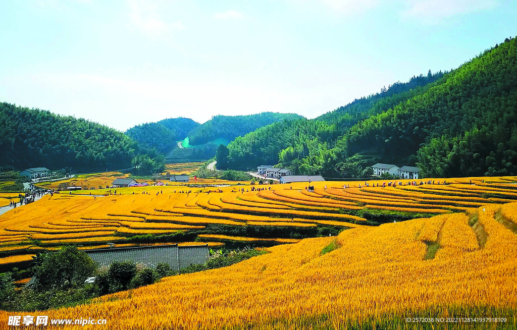 崇义上堡梯田风光