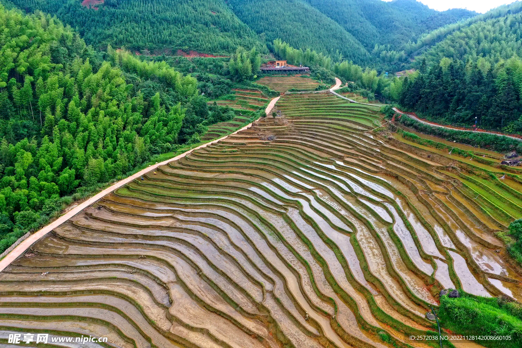 崇义上堡梯田风光