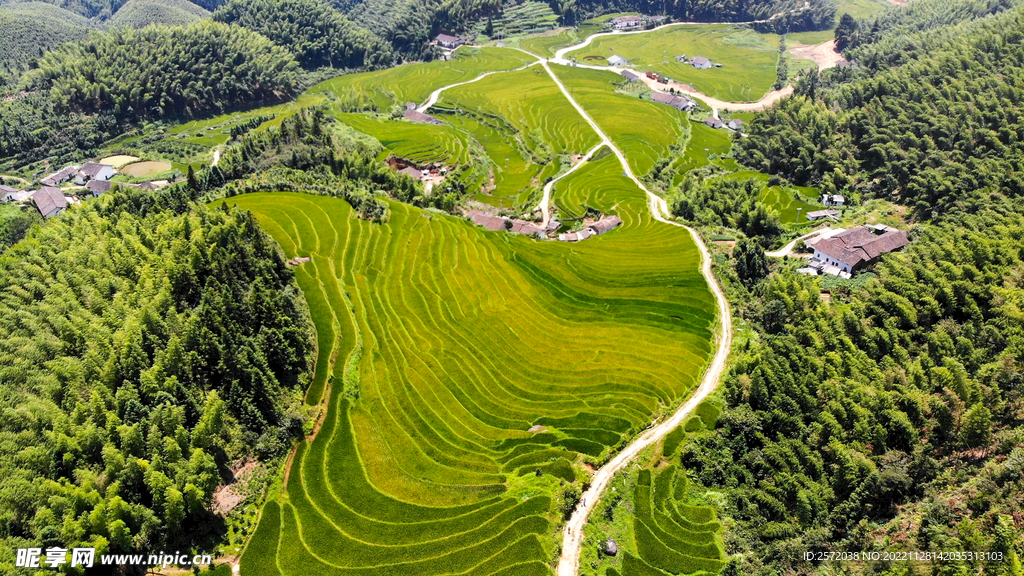 崇义上堡梯田风光