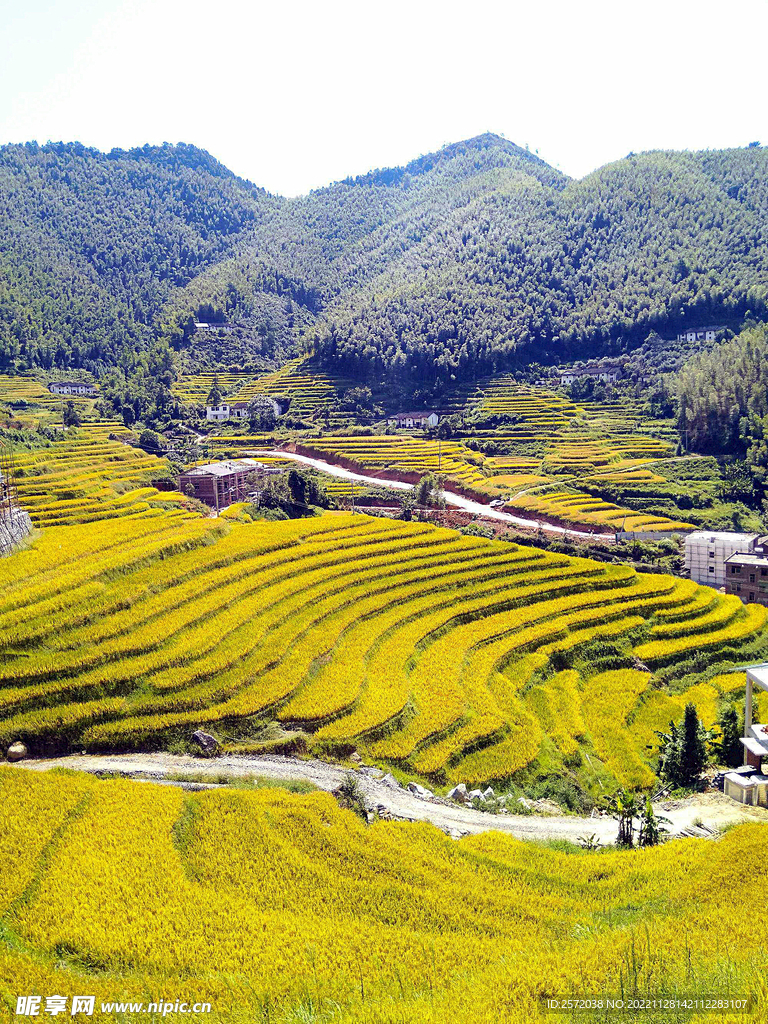 崇义上堡梯田风光