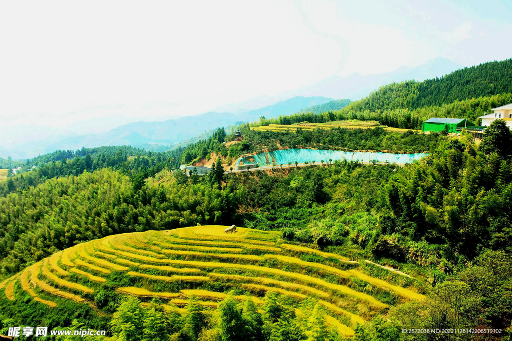 崇义上堡梯田风光