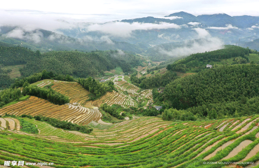 崇义上堡梯田风光