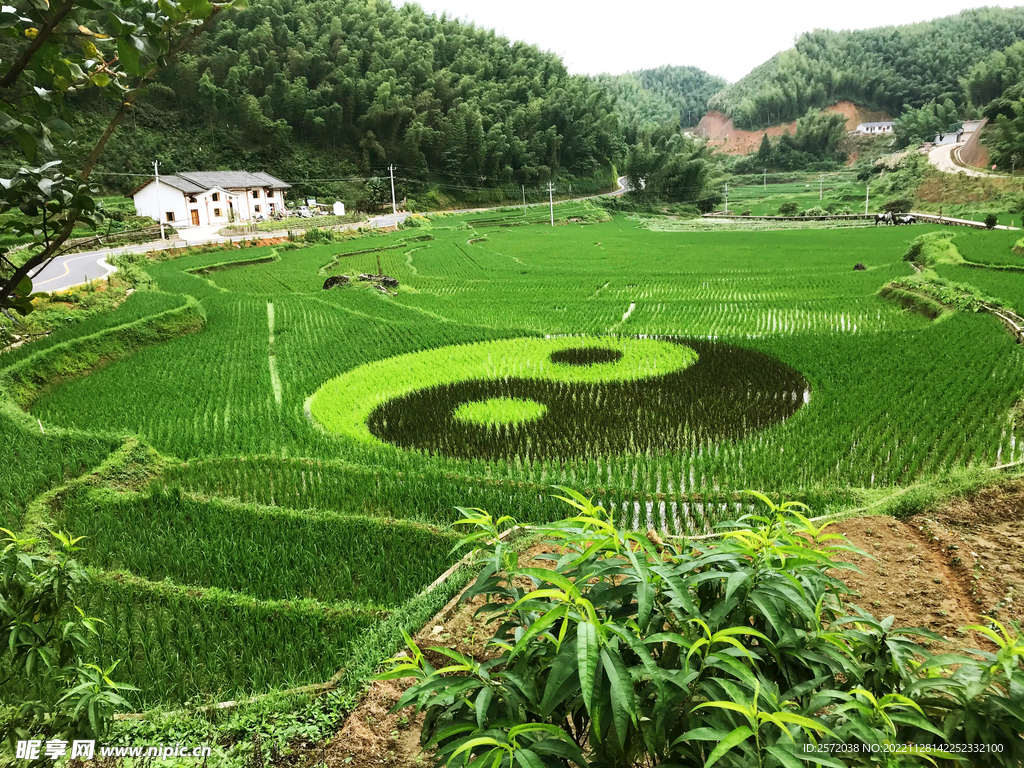 崇义上堡梯田风光