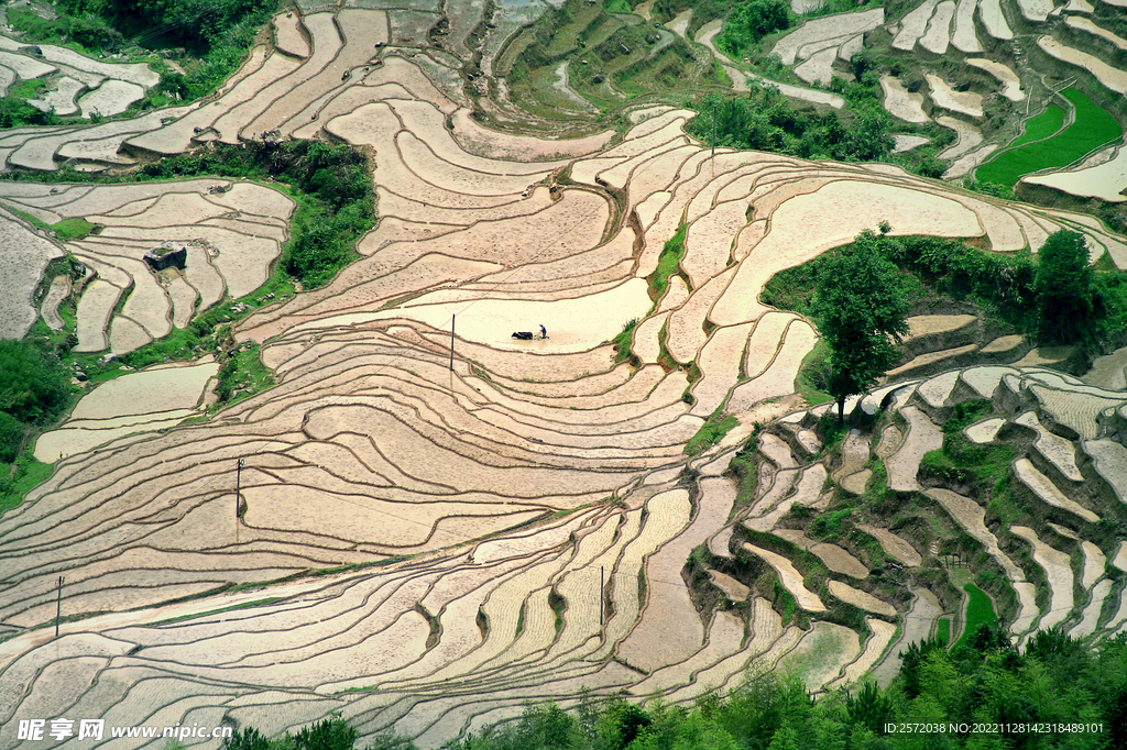 崇义上堡梯田风光