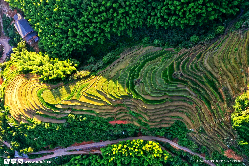 崇义上堡梯田风光