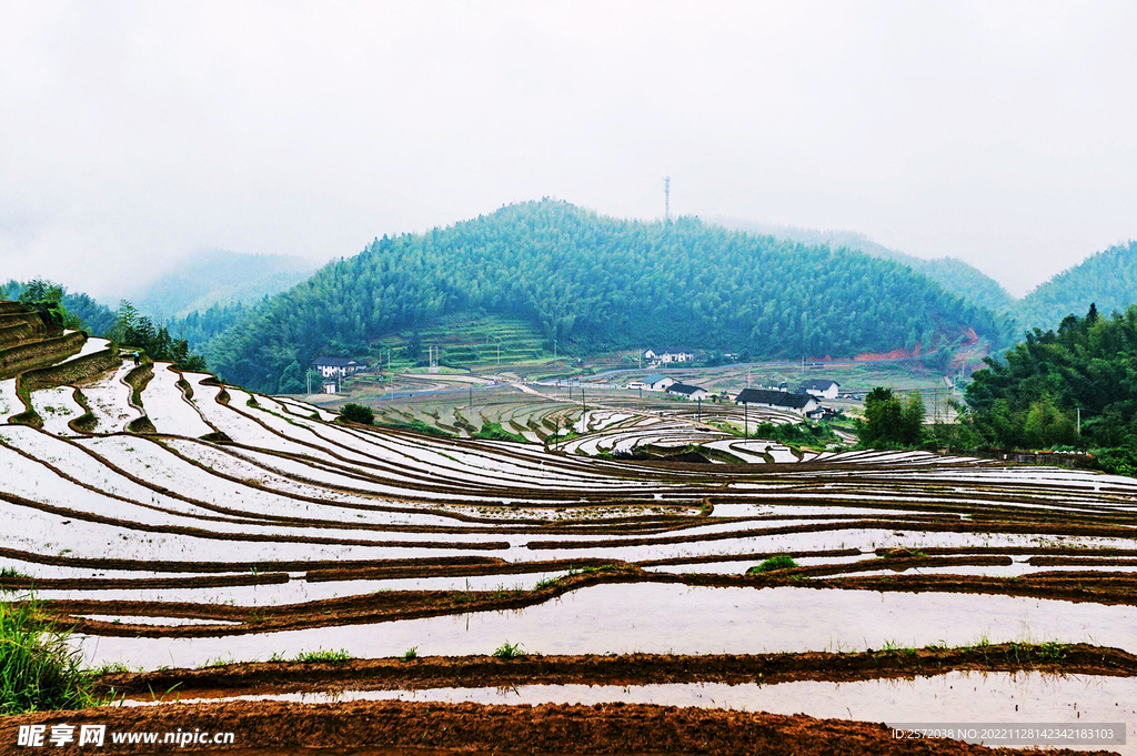 崇义上堡梯田风光