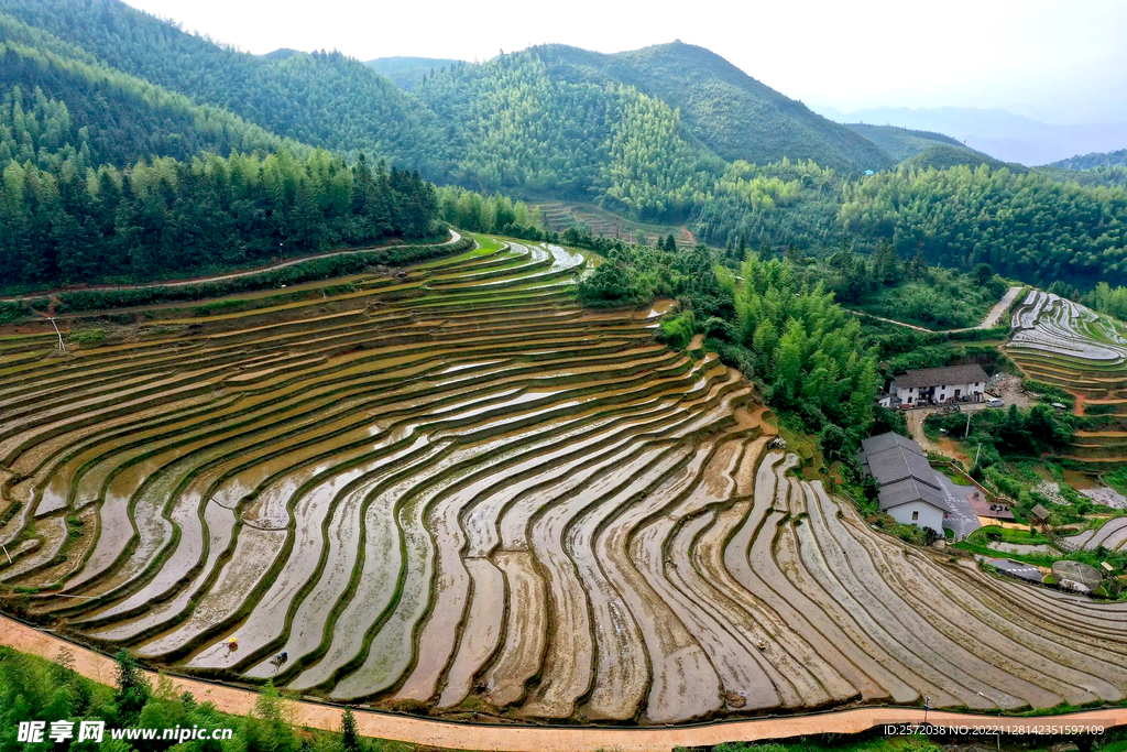 崇义上堡梯田风光