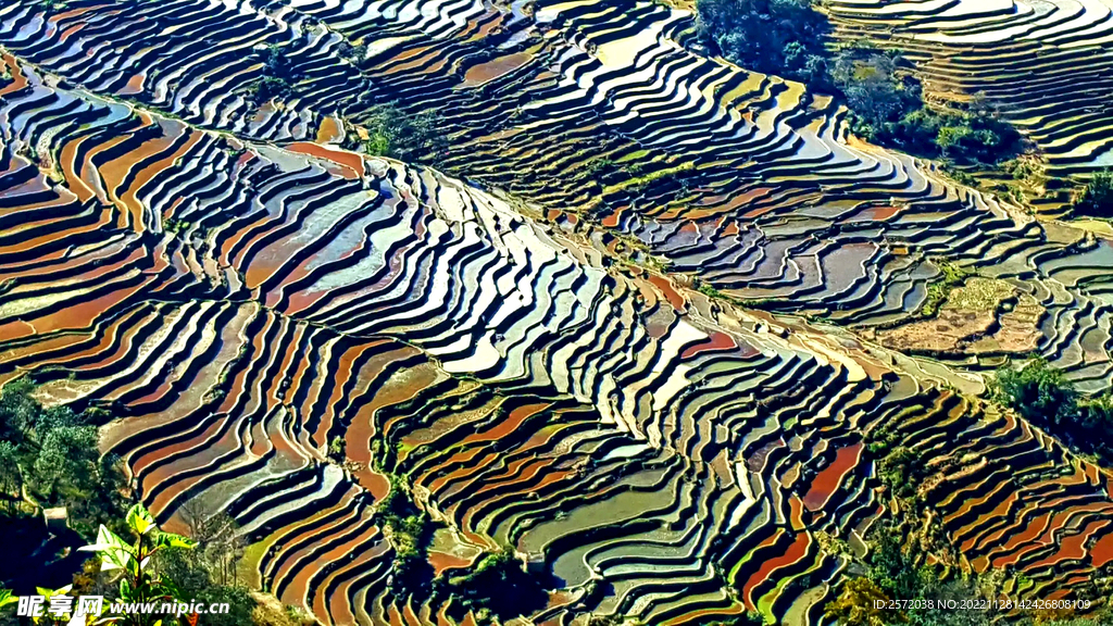 元阳哈尼梯田风光