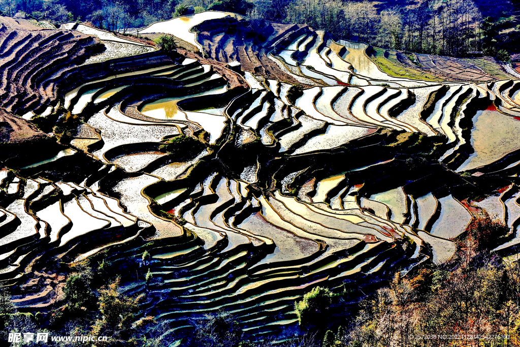 元阳哈尼梯田风光