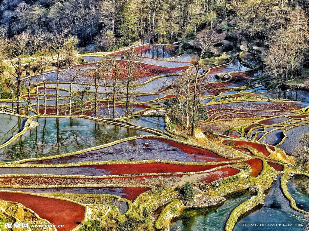 元阳哈尼梯田风光