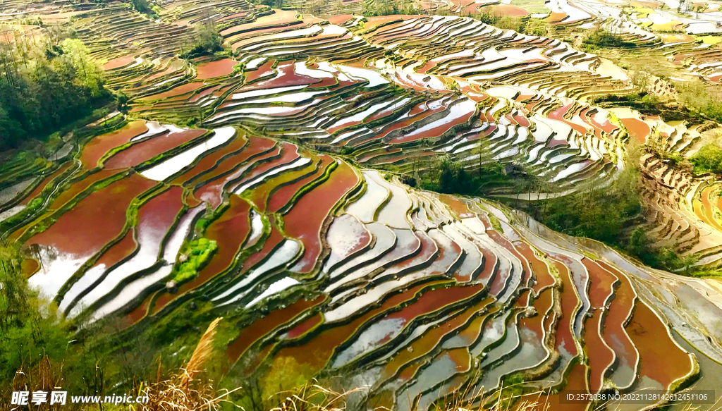 元阳哈尼梯田风光