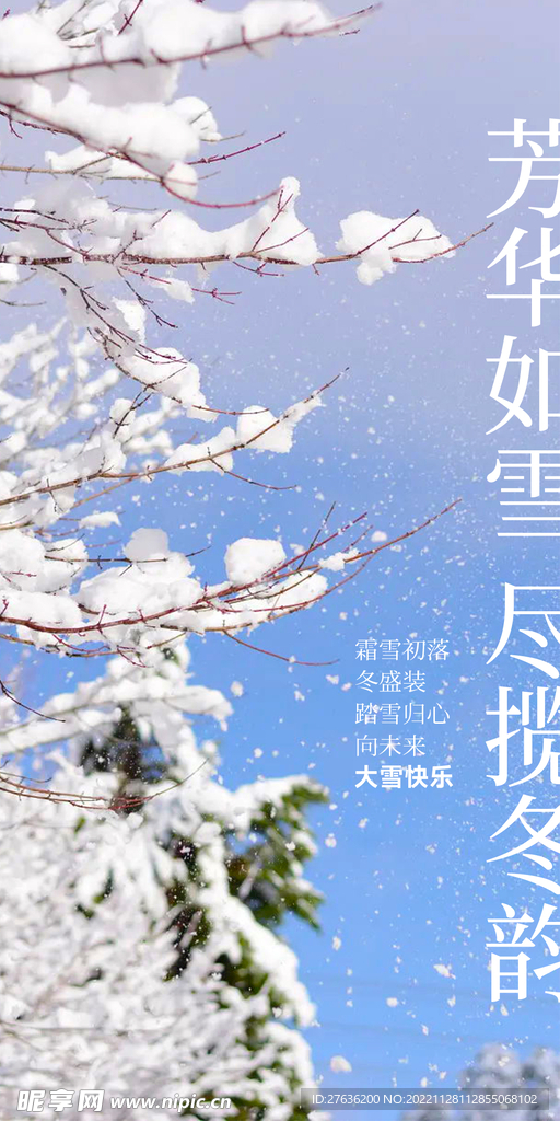 大雪节气海报