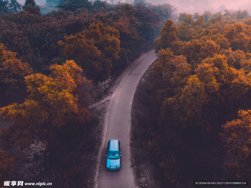 秋季森林道路