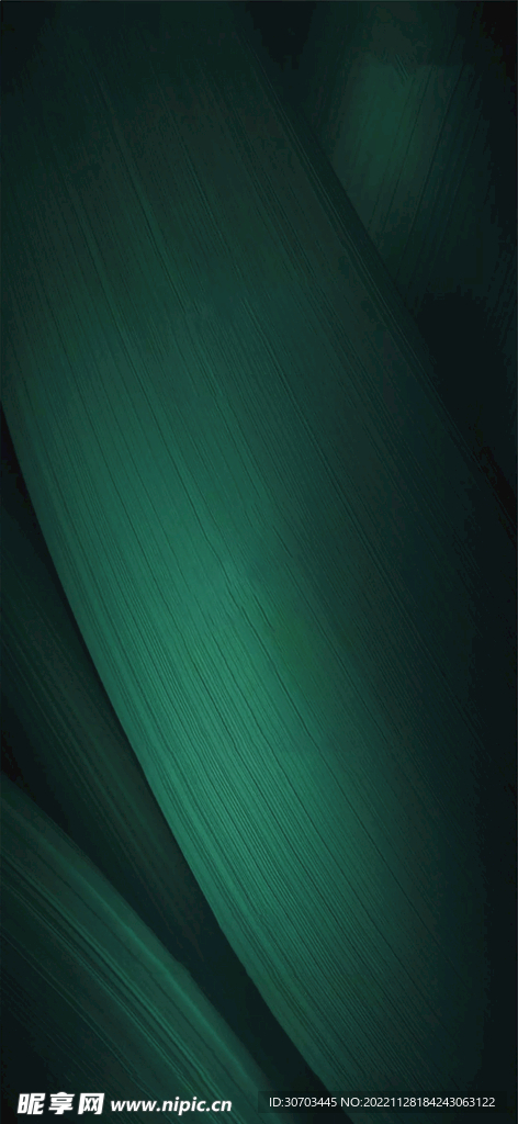 绿色叶子背景