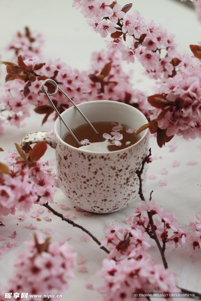 樱花 
