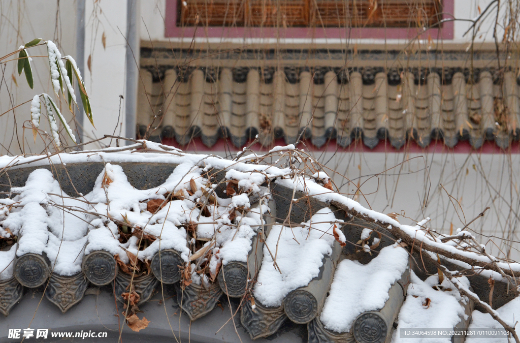 庭院白雪