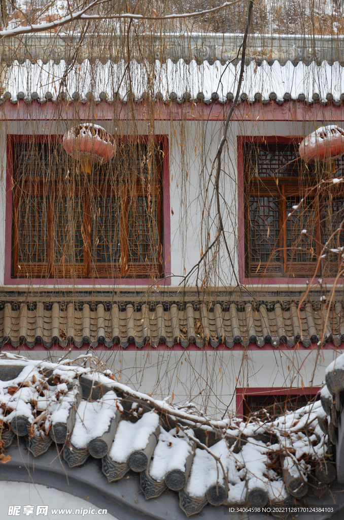 庭院瑞雪