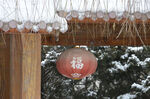 瑞雪兆庭院
