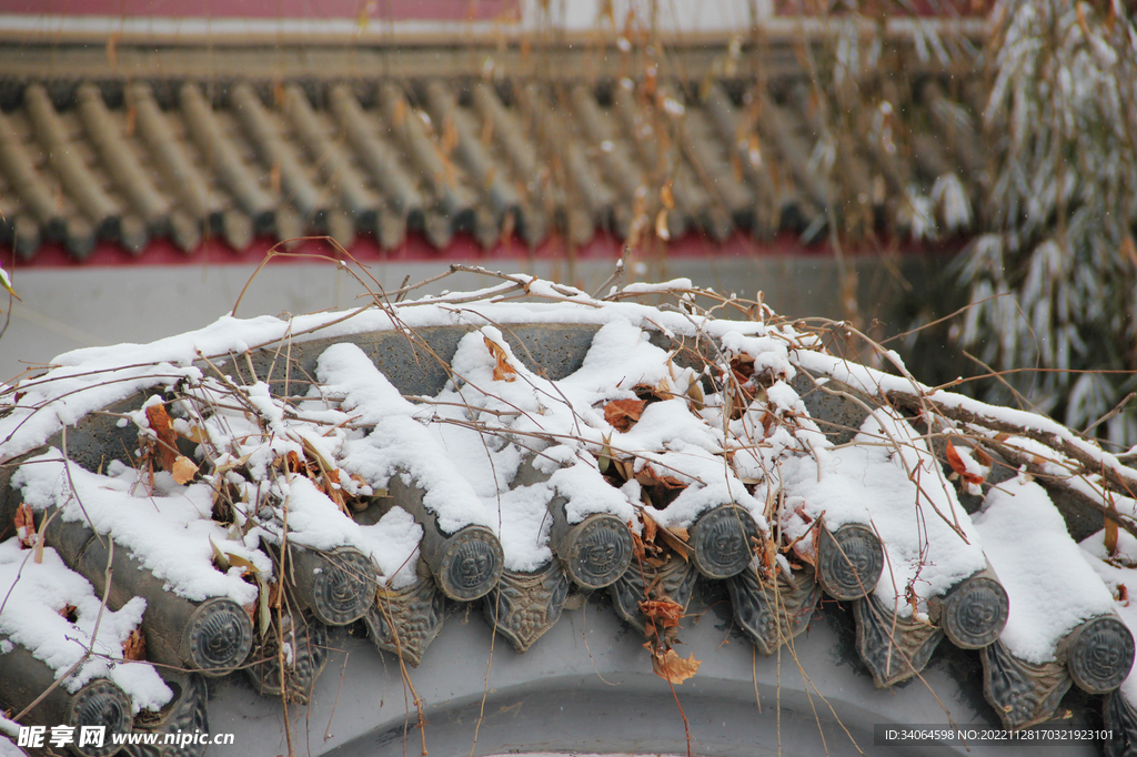 庭院积雪