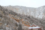 山野瑞雪