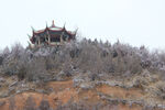 山野瑞雪