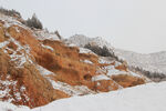 山野瑞雪