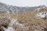 山野瑞雪